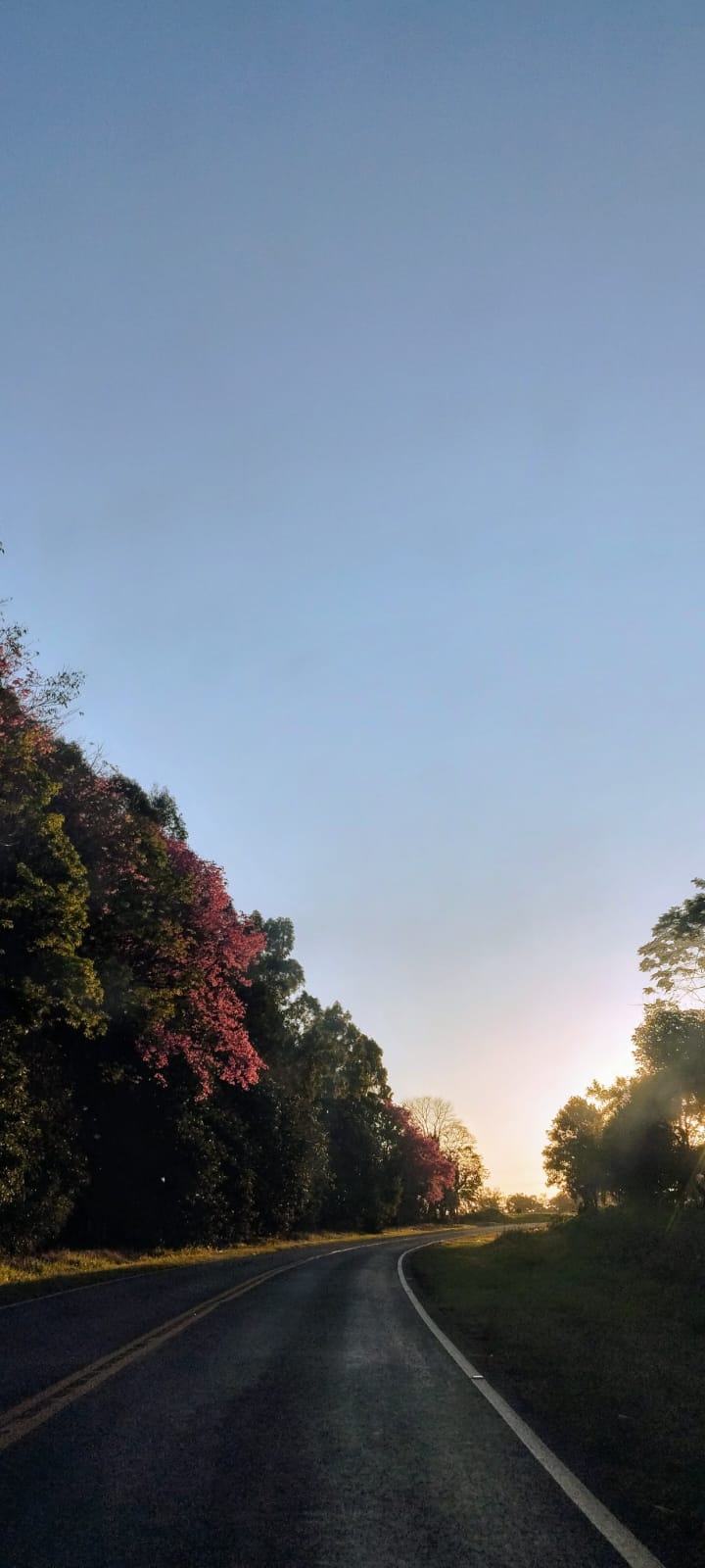 Manhã de Domingo Contorno Norte